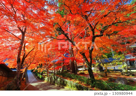 【滋賀県】晴天の永源寺の紅葉 130980944