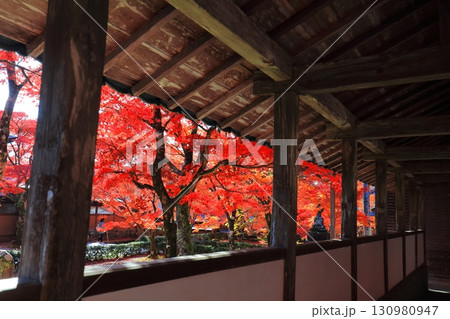 【滋賀県】晴天の永源寺の紅葉 【滋賀県】晴天の永源寺の紅葉 130980947