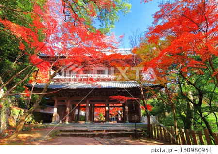 【滋賀県】晴天の永源寺の山門と紅葉 【滋賀県】晴天の永源寺の山門と紅葉 130980951