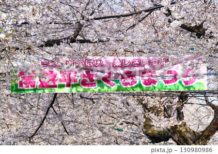 常盤平さくらまつり（千葉県松戸市） 130980986