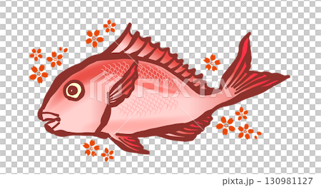 A brush painting of the fish "tai" and cherry blossoms. Red sea bream, red sea bream, sea bream. 130981127