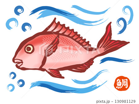筆で描いた、海で泳ぐ魚の「タイ」。真鯛、マダイ、鯛。 130981129