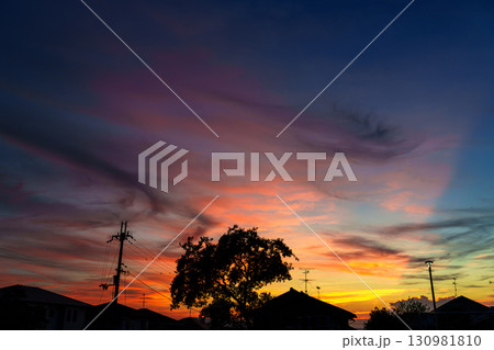 美しい夕焼け空を背景にシルエットになった街並み　公園上空のグラデーションの空② 130981810