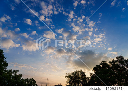 公園上空朝焼けの空に浮かぶ浮浪雲 公園上空朝焼けの空に浮かぶ浮浪雲 130981814