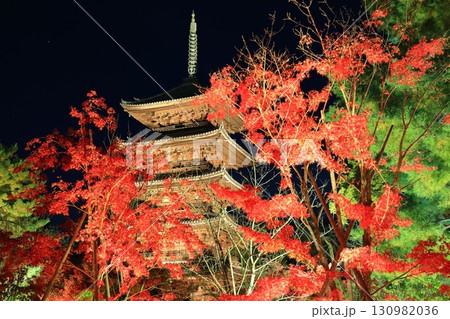 【京都府】仁和寺紅葉ライトアップ(五重塔) 【京都府】仁和寺紅葉ライトアップ(五重塔) 130982036