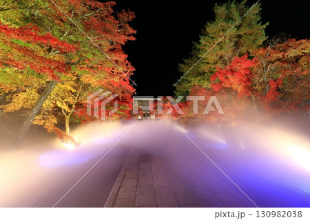 【京都府】仁和寺紅葉雲海ライトアップ（金堂） 130982038