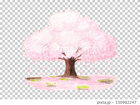桜の木 130982247