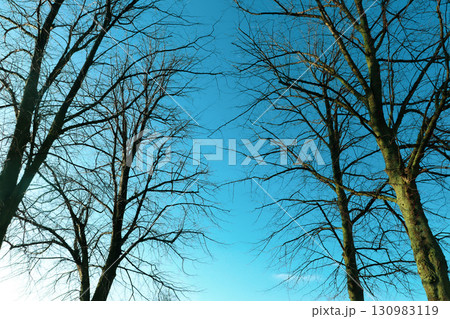 コペンハーゲンの早朝 130983119