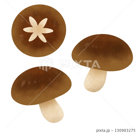 飾り切りしいたけのセットイラスト 飾り切りしいたけのセットイラスト 130983275