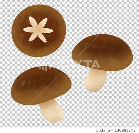 裝飾切香菇的插圖 130983275