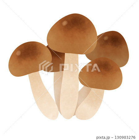 ぶなしめじのイラスト ぶなしめじのイラスト 130983276