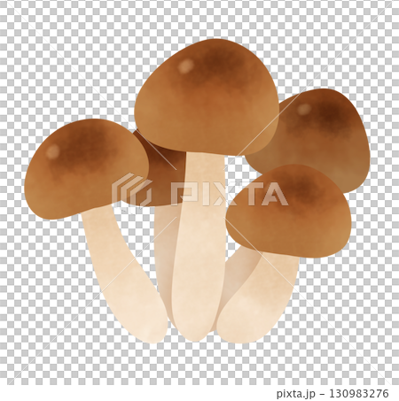 Bunshimeji mushroom illustration 130983276