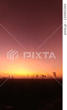Warm Sky Gradient Over Dark Field Landscape. Warm Sky Gradient Over Dark Field Landscape. 130983364