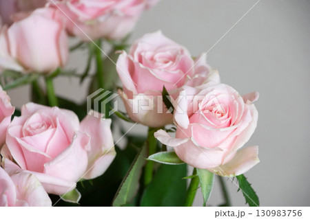 スイートアバランチェ 130983756