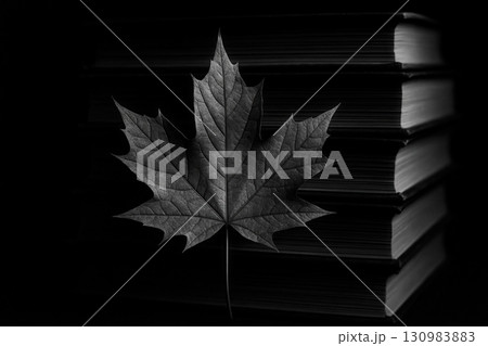 Maple Leaf on Stack of Books, Autumn Back to...のイラスト素材 [130983883] - PIXTA