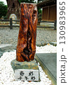 爺杉、千年杉 130983965