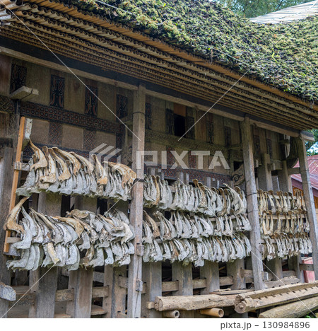 Buffalo jaws on a traditional Toraja house, Sulawesi, Indonesia 130984896
