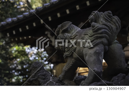 狛犬のある風景 狛犬のある風景 130984907