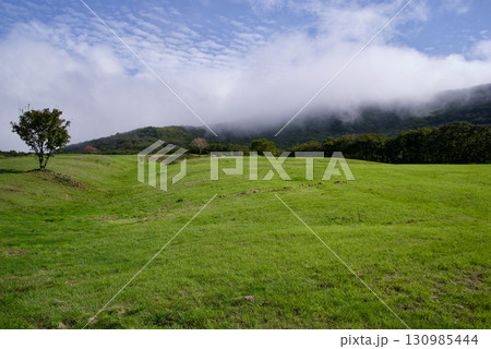 吾妻山の草原　初秋 130985444