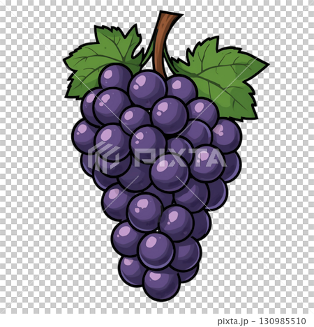 簡單的巨峰葡萄插圖 130985510