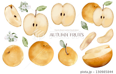 水彩で描いた梨の素材セット 130985844