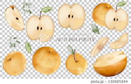 水彩梨素材集 130985844