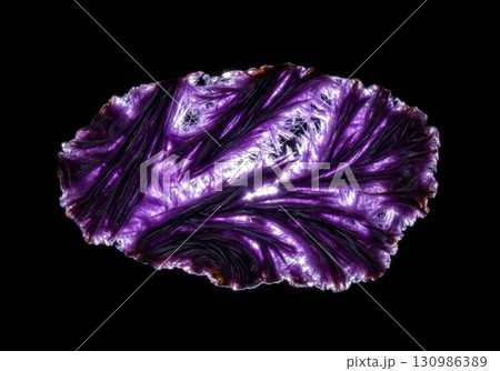 Slice of rare purple charoite crystal glowing with a fibrous pattern on a black background 130986389