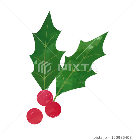 水彩手描き風のヒイラギのベクターイラスト 130986408