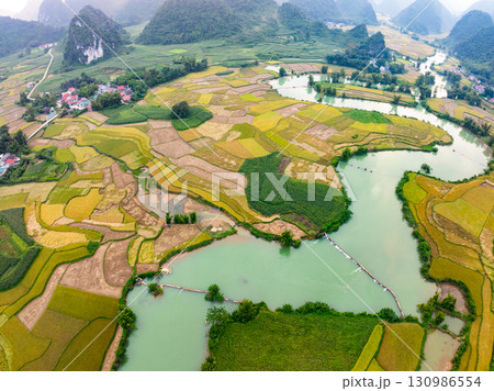Aerial top view of Green rice field at northern vietnam,Beautiful destination in Northern Vietnam,Travel and landscape concept, Nature and rice fields background Aerial top view of Green rice field at northern vietnam,Beautiful destination in Northern Vietnam,Travel and landscape concept, Nature and rice fields background 130986554