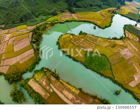 Aerial top view of Green rice field at northern vietnam,Beautiful destination in Northern Vietnam,Travel and landscape concept, Nature and rice fields background 130986557