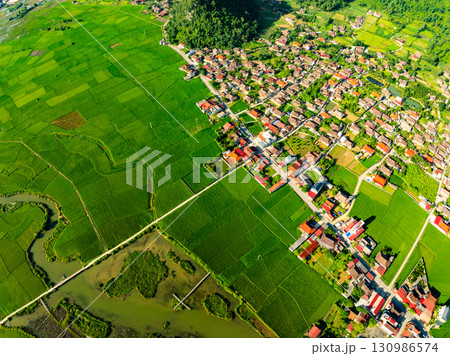 Aerial top view of Green rice field at northern vietnam,Beautiful destination in Northern Vietnam,Travel and landscape concept, Nature and rice fields background Aerial top view of Green rice field at northern vietnam,Beautiful destination in Northern Vietnam,Travel and landscape concept, Nature and rice fields background 130986574