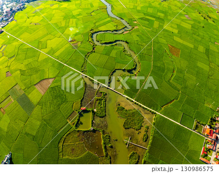 Aerial top view of Green rice field at northern vietnam,Beautiful destination in Northern Vietnam,Travel and landscape concept, Nature and rice fields background 130986575