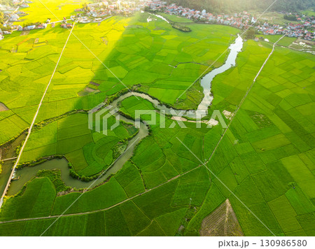Aerial top view of Green rice field at northern vietnam,Beautiful destination in Northern Vietnam,Travel and landscape concept, Nature and rice fields background Aerial top view of Green rice field at northern vietnam,Beautiful destination in Northern Vietnam,Travel and landscape concept, Nature and rice fields background 130986580