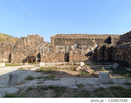 Delhi , India - Tughlakabad Fort Delhi , A picture of Tughlakabad Fort in Delhi dec 10 2024 Delhi , India - Tughlakabad Fort Delhi , A picture of Tughlakabad Fort in Delhi dec 10 2024 130987086