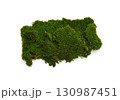 Green moss isolated on white background. Nature background. 130987451