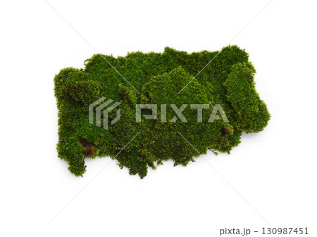 Green moss isolated on white background. Nature background. 130987451