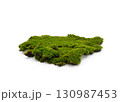 Green moss isolated on white background. Nature background. 130987453