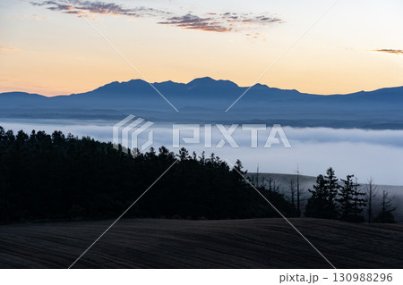 朝霧と朝焼けの丘 130988296