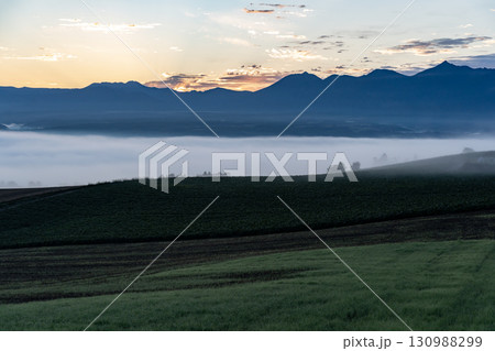 朝霧と朝焼けの丘 朝霧と朝焼けの丘 130988299