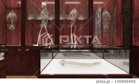 人体博物館 人体博物館 130988408