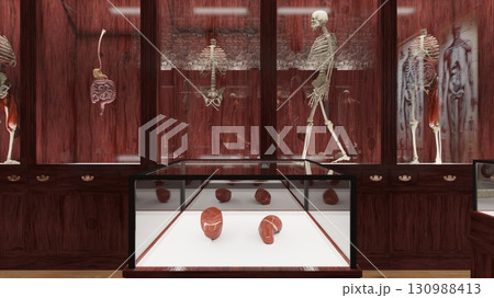 人体博物館 人体博物館 130988413