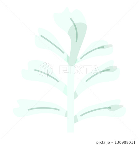 クリスマス装飾に使えるシロタエギクの葉っぱイラスト 130989011