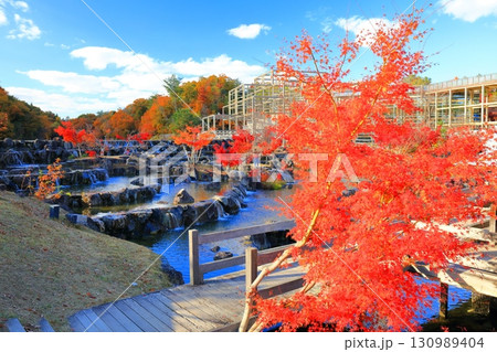 【京都府】けいはんな記念公園の水景棚と紅葉 【京都府】けいはんな記念公園の水景棚と紅葉 130989404