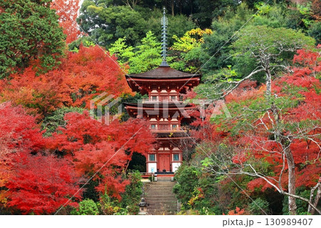 【京都府】晴天の浄瑠璃寺庭園の三重塔と紅葉 130989407