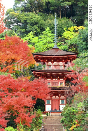 【京都府】晴天の浄瑠璃寺庭園の三重塔と紅葉 130989410