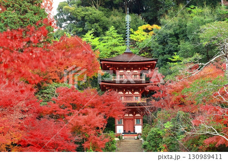 【京都府】晴天の浄瑠璃寺庭園の三重塔と紅葉 130989411