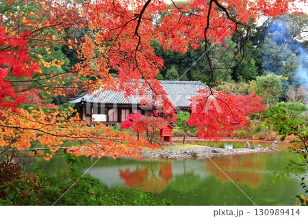 【京都府】晴天の浄瑠璃寺庭園の本堂と紅葉 130989414