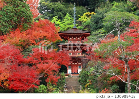 【京都府】晴天の浄瑠璃寺庭園の三重塔と紅葉 130989418