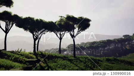 A serene valley emerges under the soft glow of dawn, showcasing lush greenery and tall trees casting gentle shadows. The scenery evokes a deep sense of peace and connection with nature. 130990016