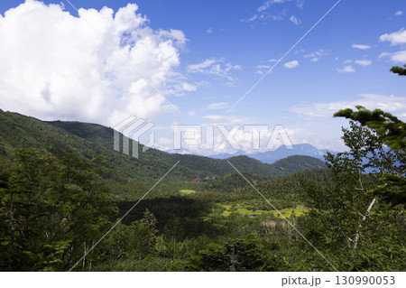 山小屋と自然園 山小屋と自然園 130990053